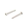 Plaatschroef inox A4 D7981C CK