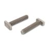 Hamerkopbout type 28/15 inox a2