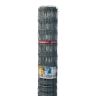 Ursus zincalu super (50m)