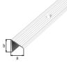 Trapneusprofiel alu F1