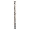 Spiraalboor Wood zeskantschacht 1/4" 10 x 87/133mm