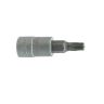 Dop Bit 1/4 - Torx