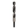 Boor Pro Wood met centreerpunt, 16x100x160mm, d10mm