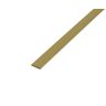 Profiel plat messing 10x2mm