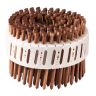 Coilnagel Lignoloc 15° met kop