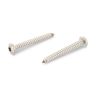 Plaatschroef inox A2 ISO14585 CK TX25