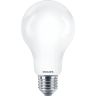 Lamp Led Classic A67 E27 FR CW ND