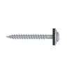 GevelSchroef TX20 inox A2