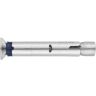 Hulsanker inox M10x100