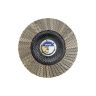 Lamellenschijf Diamant EGF
