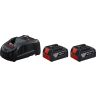 Starterset Bosch GBA 18V 2x5.0Ah, Met lader GAL 1880 CV