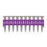 Nagels C70-XP 3.0 x 27mm incl. 1xgas