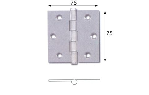 Scharnier inox 75x75x2 vaste stift