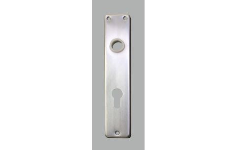 Plaat PZ110 3000Y1