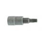 Dop Bit 3/8 - Torx