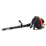 Bladblazer PB-580 58.2cc 10kg