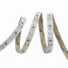 Ledstrip IP20 24V 5M