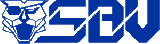 Logo for de brand Sbv